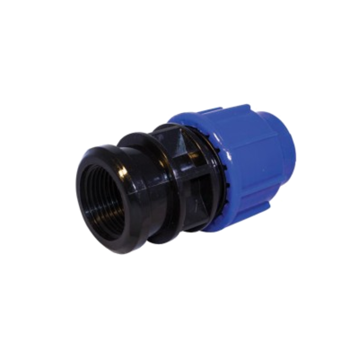 PE Overgang 25mm ~ 1" Binnen/Buitendraad