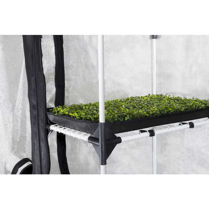 Garden HighPro Garden HighPro ProBox PL - Kweektent