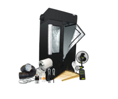 HOMEbox HomeBox HomeLab 100 met Samsung Quantum 240