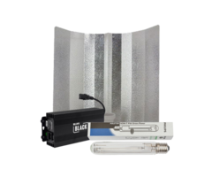 Philips Lumii Black + Hammerhead Reflector + Philips Greenpower 600 Watt