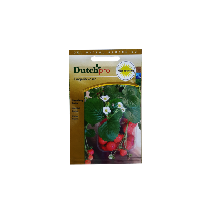 Dutch Pro Dutch Pro - Strawberry Regina ~ Fragaria Vesca