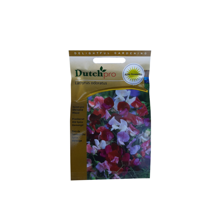 Dutch Pro Dutch Pro - Ponkerwt Old Spice Gemengd ~ Lathyrus Odoratus