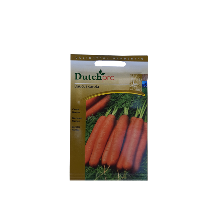 Dutch Pro Dutch Pro - Wortelen Nantes ~ Daucus Carota
