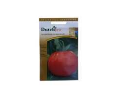 Dutch Pro Dutch Pro - Tomaat Moneymaker