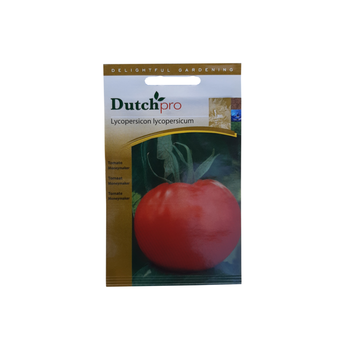 Dutch Pro Dutch Pro - Tomato Moneymaker ~ Lycopersicon Lycopersicum