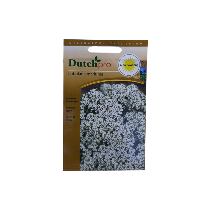Dutch Pro Dutch Pro - Alyssum Snowcloth ~ Lobularia Maritima