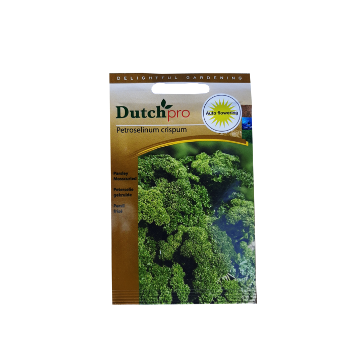 Dutch Pro Dutch Pro - Mosscurled Parsley ~ Petroselinum Crispum