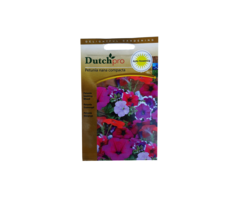 Dutch Pro Dutch Pro - Petunia Bedding Mixed