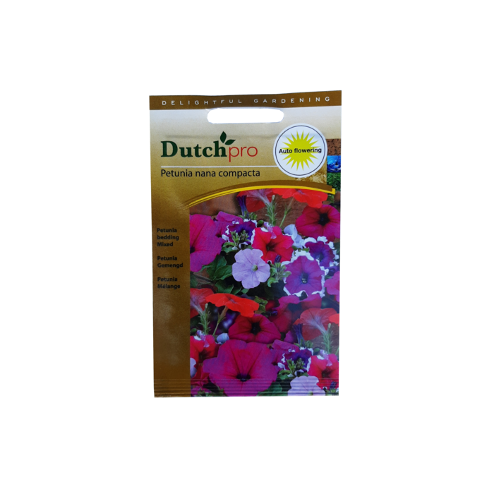 Dutch Pro Dutch Pro - Petunia Gemengd ~ Petunia Nana Compacta