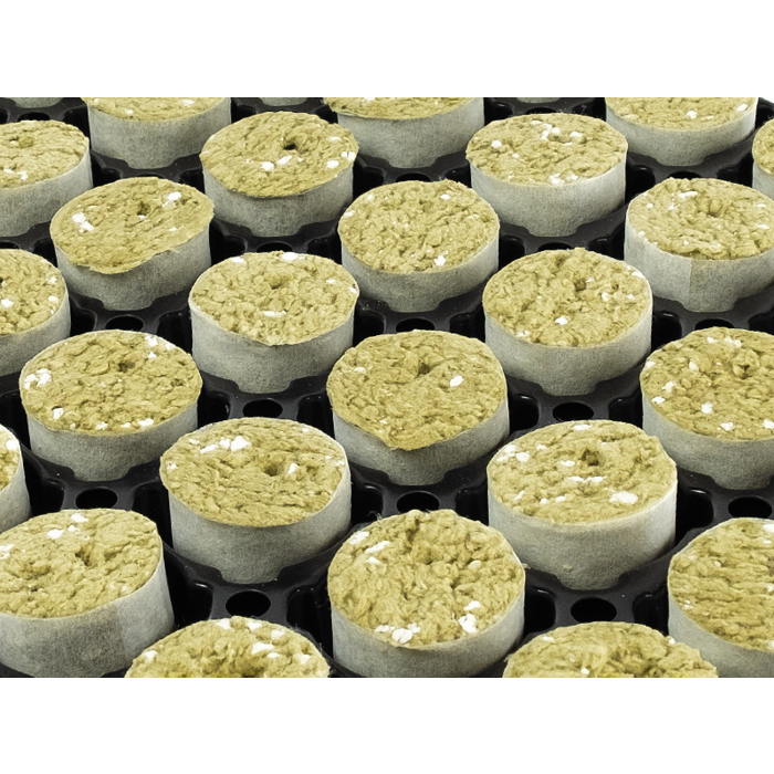 Paperbus Paperbus Rockwool Plugs Medium Box ~ 84 or 104 pieces