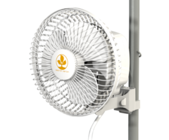 Secret Jardin Secret Jardin Monkey Fan
