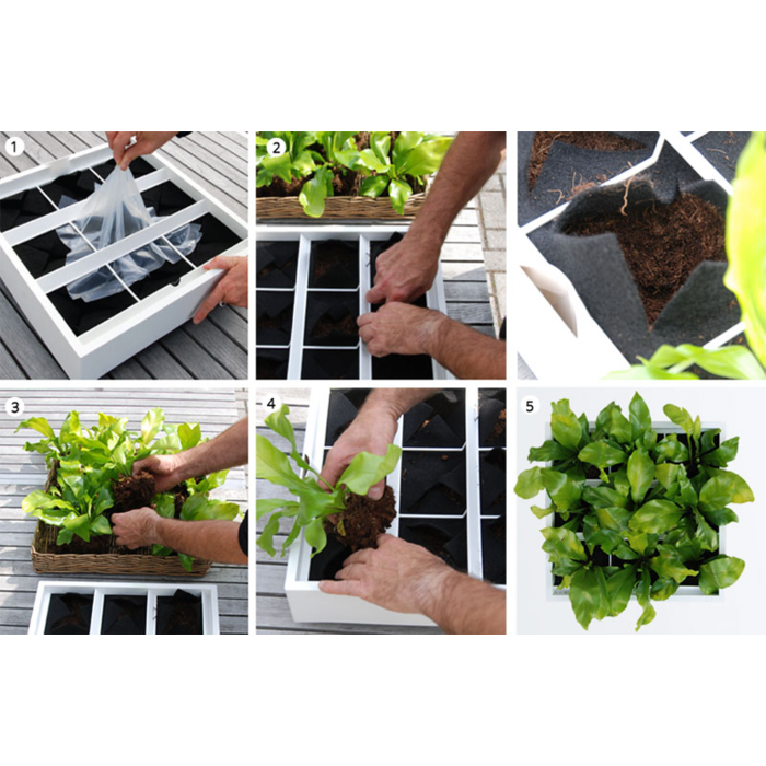 Karoo Karoo Groene Wand ~ Plantenbak 40 x 40 x 14 cm