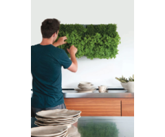 Karoo Karoo Groene Wand
