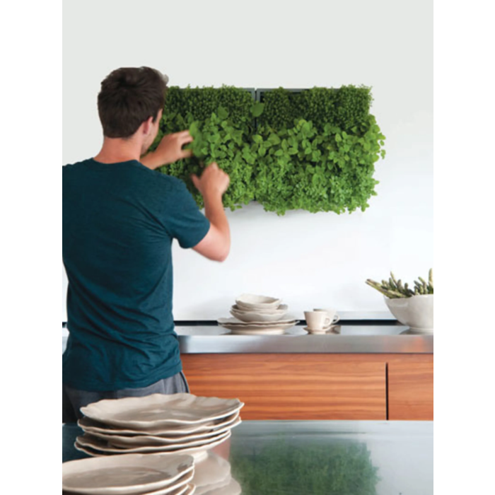 Karoo Karoo Green Wall ~ Plants Container 40 x 40 x 14 cm