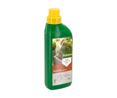 Pokon Pokon Buxus Nutrition 500ml