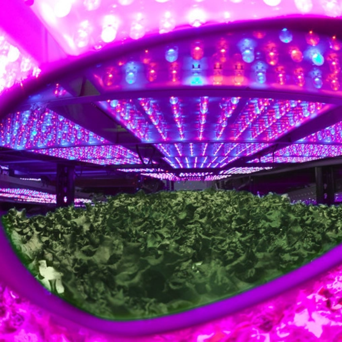 Method Seven Method Seven LED Glasses