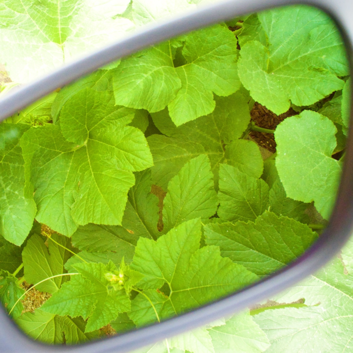 Method Seven Method Seven FX Glasses LAST STOCK!