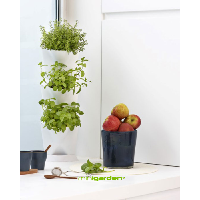 MiniGarden MiniGarden Corner Starter Set ~ Verticaal Tuinieren