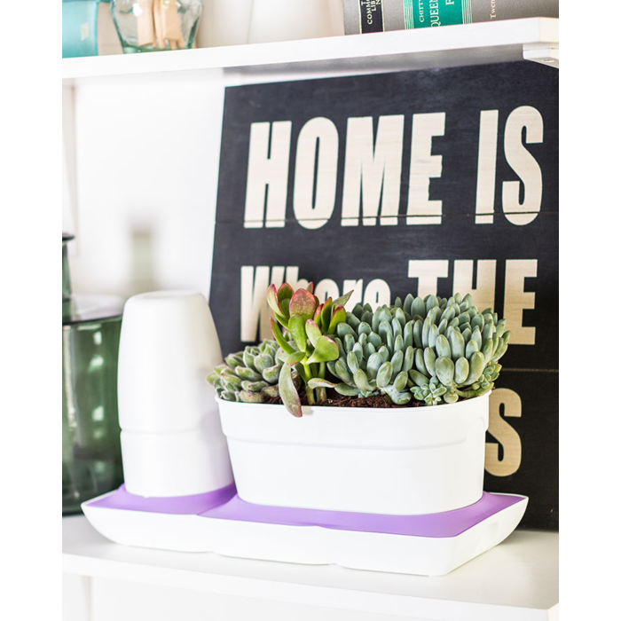 MiniGarden MiniGarden Basic UNO