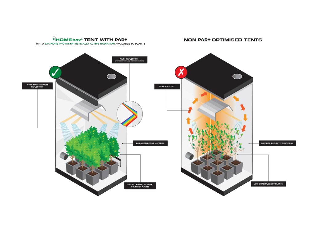 HOMEbox Ambient Q60+ グロウテント - 植物/観葉植物
