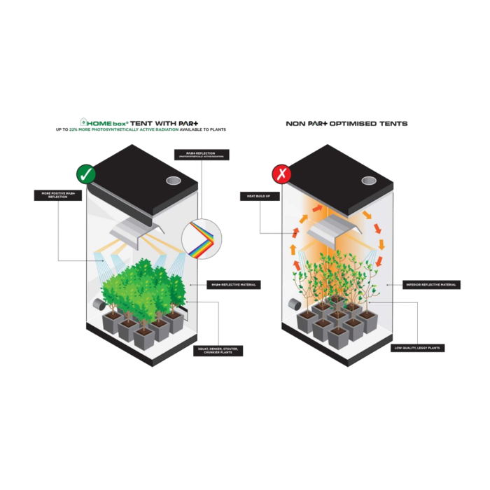 HOMEbox HOMEbox Vista Medium - 125x65x120cm ~ Grow tent