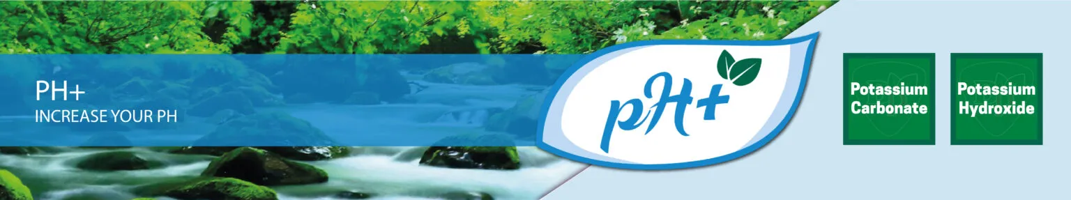 ph plus banner