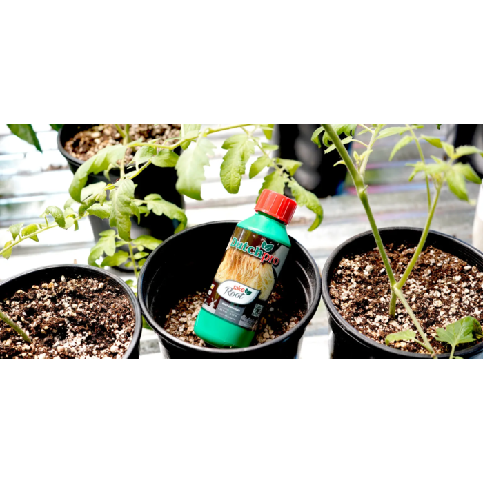 Dutch Pro Dutch Pro Take Root ~ Rootstimulator