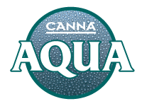 Canna Aqua