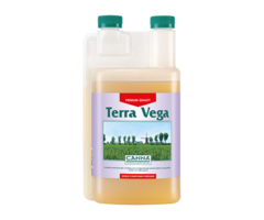 Canna Canna Terra Vega