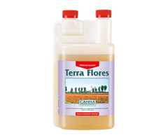 Canna Canna Terra Flores