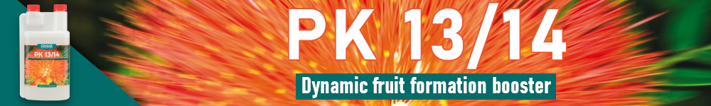 Canna PK13-14 banner