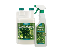 Canna Canna Cannacure