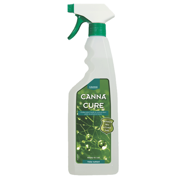 Canna Canna Cannacure