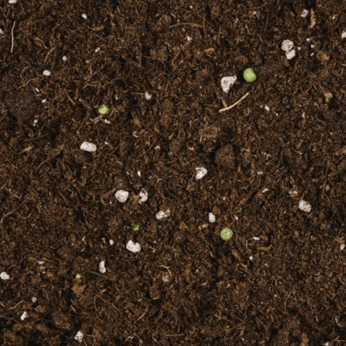 Compo Sana Compo Sana Universele Potgrond - 40ltr ~ 50% Lichter