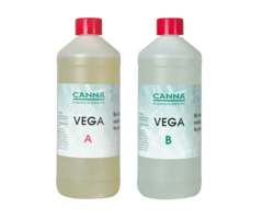 Canna Canna Hydro Vega