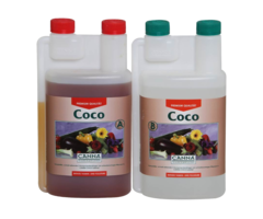 Canna Canna Coco