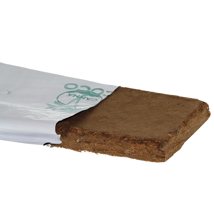 Canna Canna COGr Board ~ Cocos Substrate