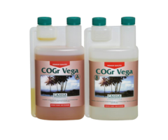 Canna Canna COGr Vega