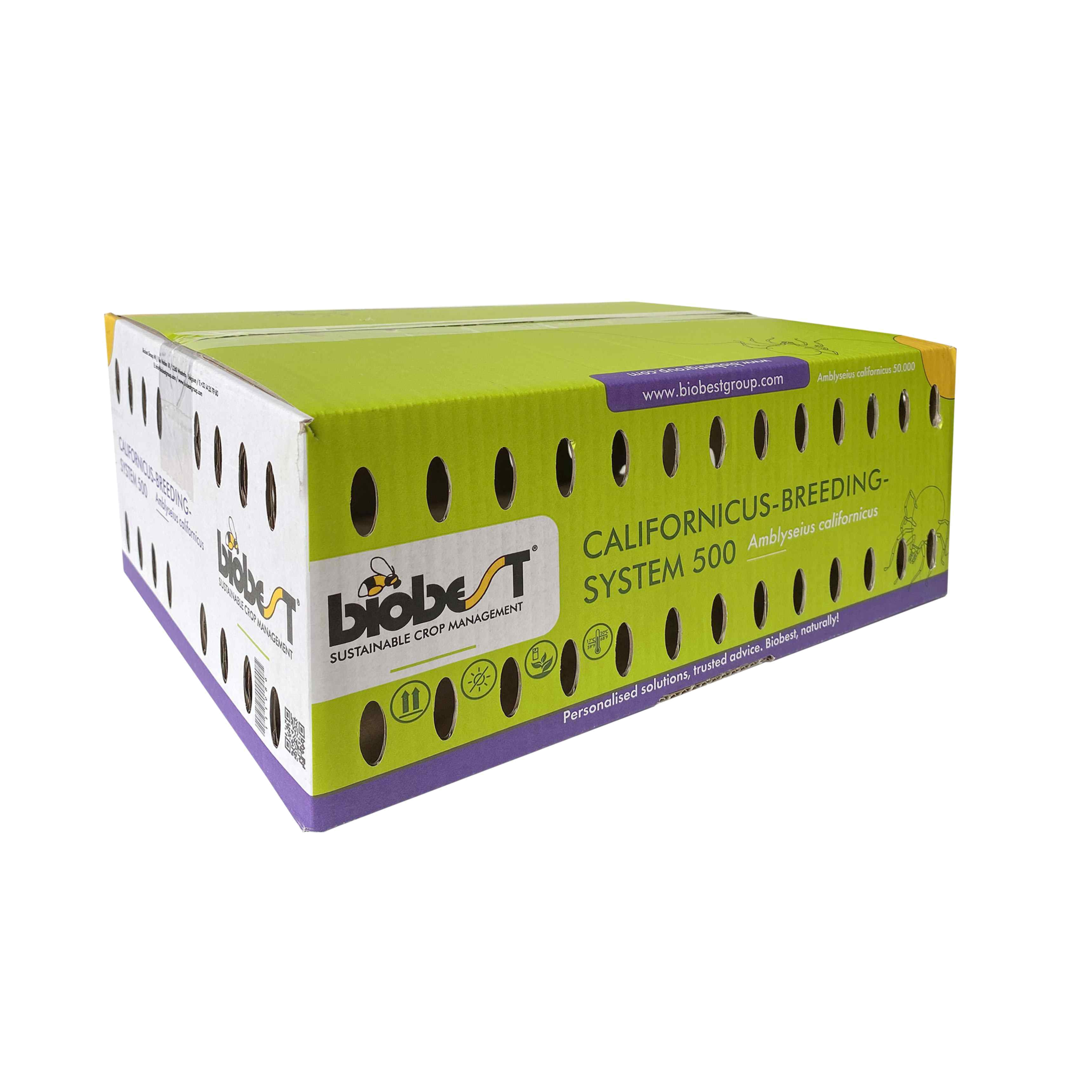 Brimex BioBest Californicus Breeding System (Spider mite control