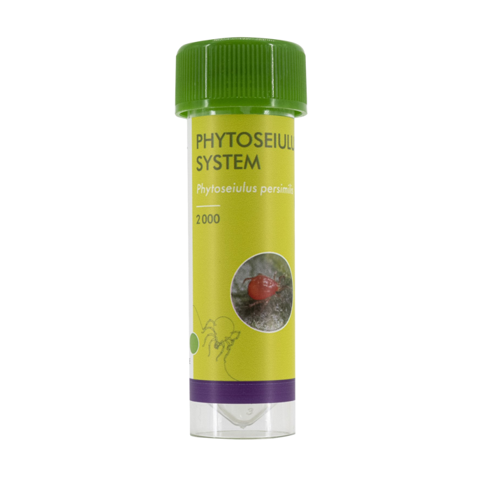 Brimex BioBest Brimex Biobest - Phytoseiulus System (Spider Pest Control)