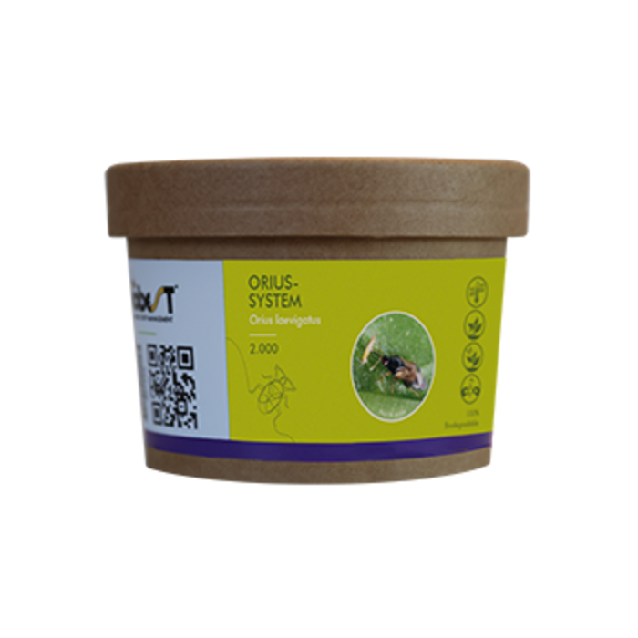 Brimex BioBest Brimex BioBest - Orius System (Roofwantsen tegen Trips)