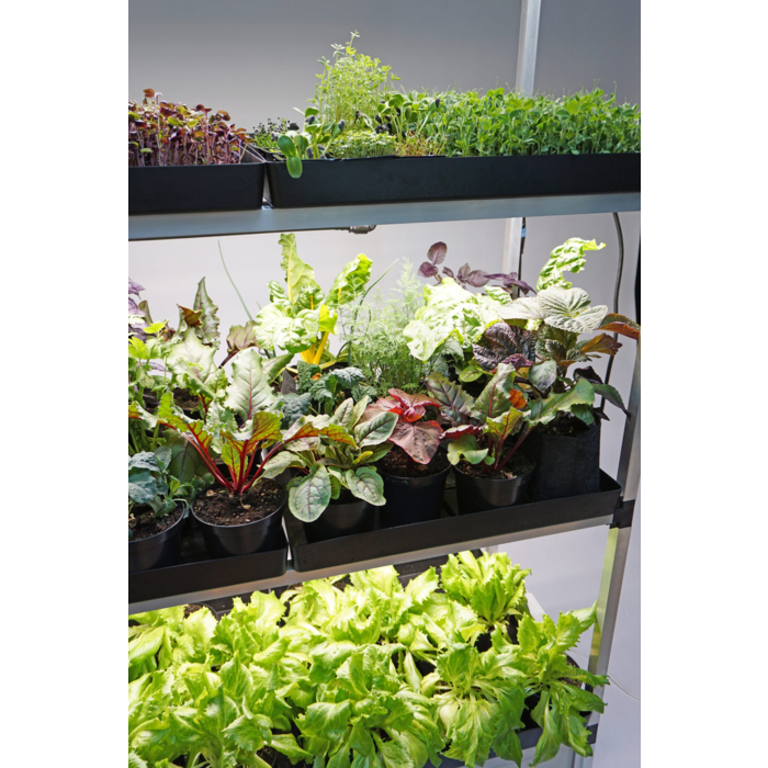 G-Tools G-tools - Kitchenfarm Kweekkast ~ Leafygreens & Microgreens