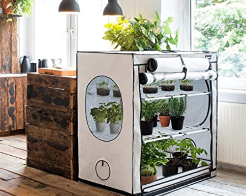 Growing in a Grow Tent