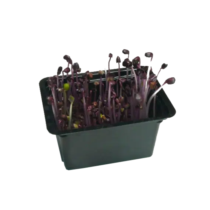G-Tools G-tools ~ Cellulose Grow Mats