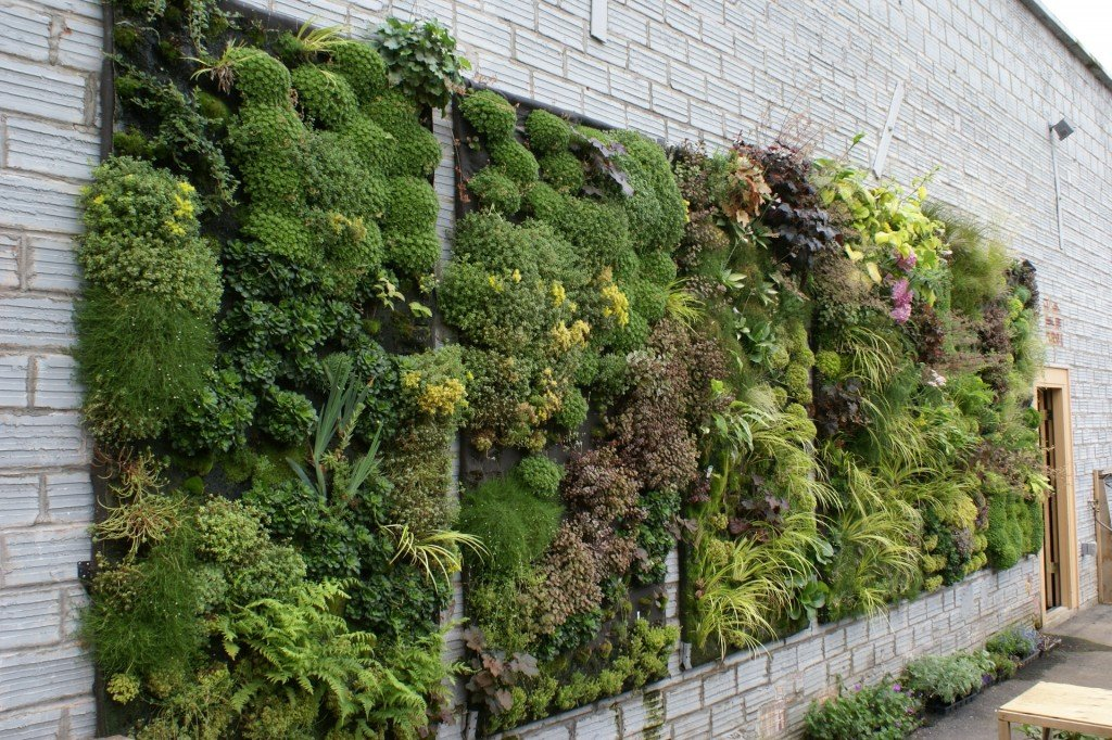 Urban gardening greenwall