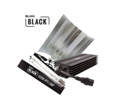 LUMii Lumii Black Set