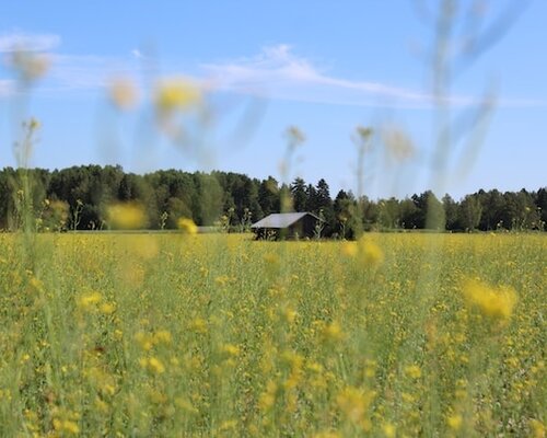 Ontdek de geheimen van kweektenten en kweekkasten