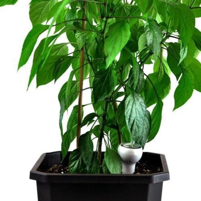 Blumat Blumat Protective cover for digital tensiometer