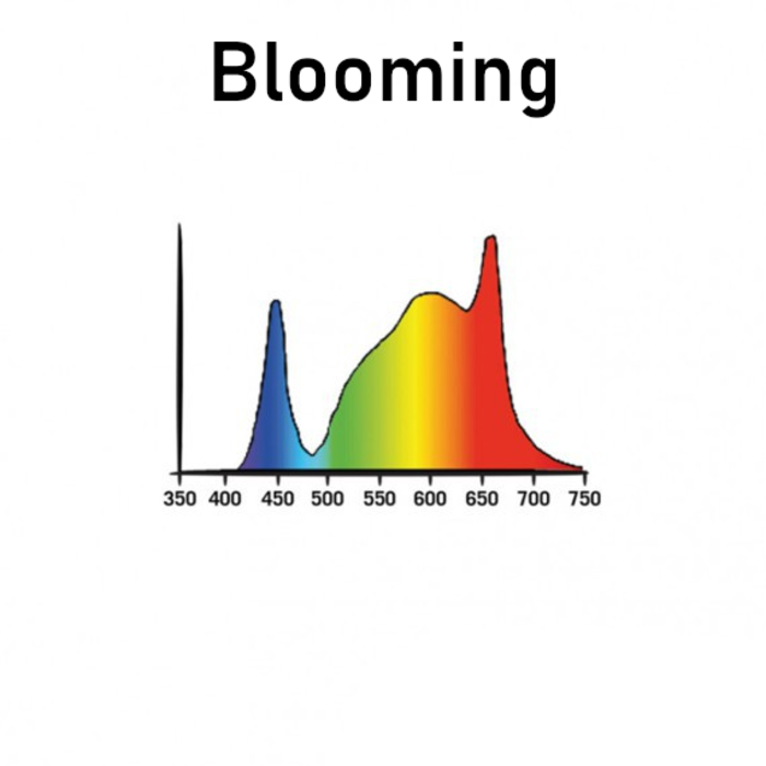 Secret Jardin Secret Jardin Cosmorrow TNoled Kit | Growing & Blooming | 2x20W & 2x40W