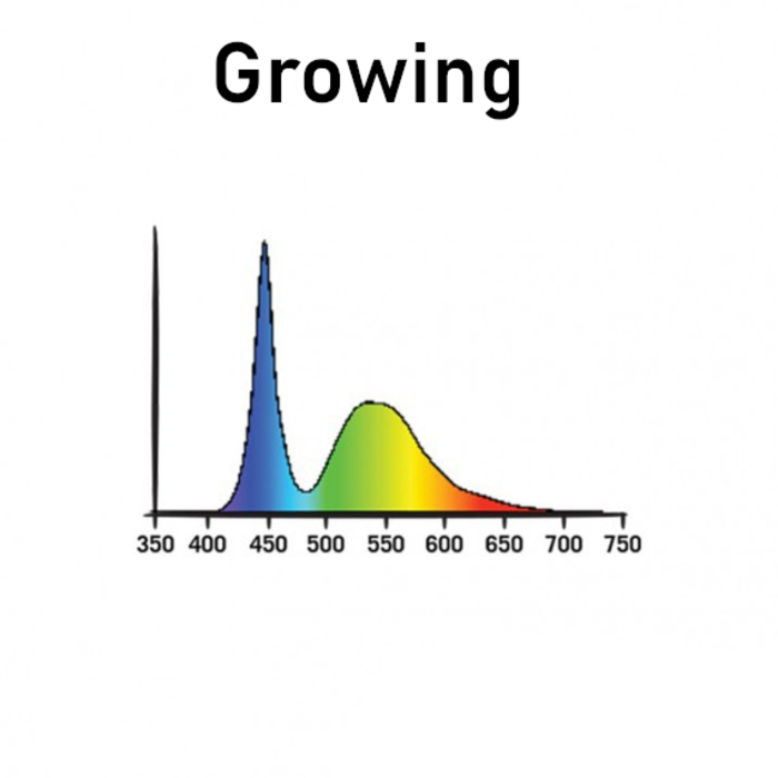 Secret Jardin Secret Jardin Cosmorrow TNoled Kit | Growing & Blooming | 2x20W & 2x40W